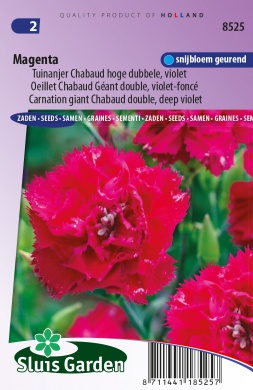 Tuinanjer Chabaud Magenta (Dianthus) 90 zaden